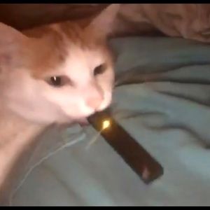 Meet your Posher, Andy